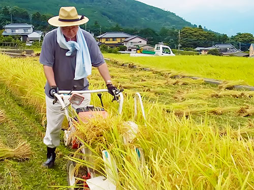 国有林の地所を棚田化する工夫